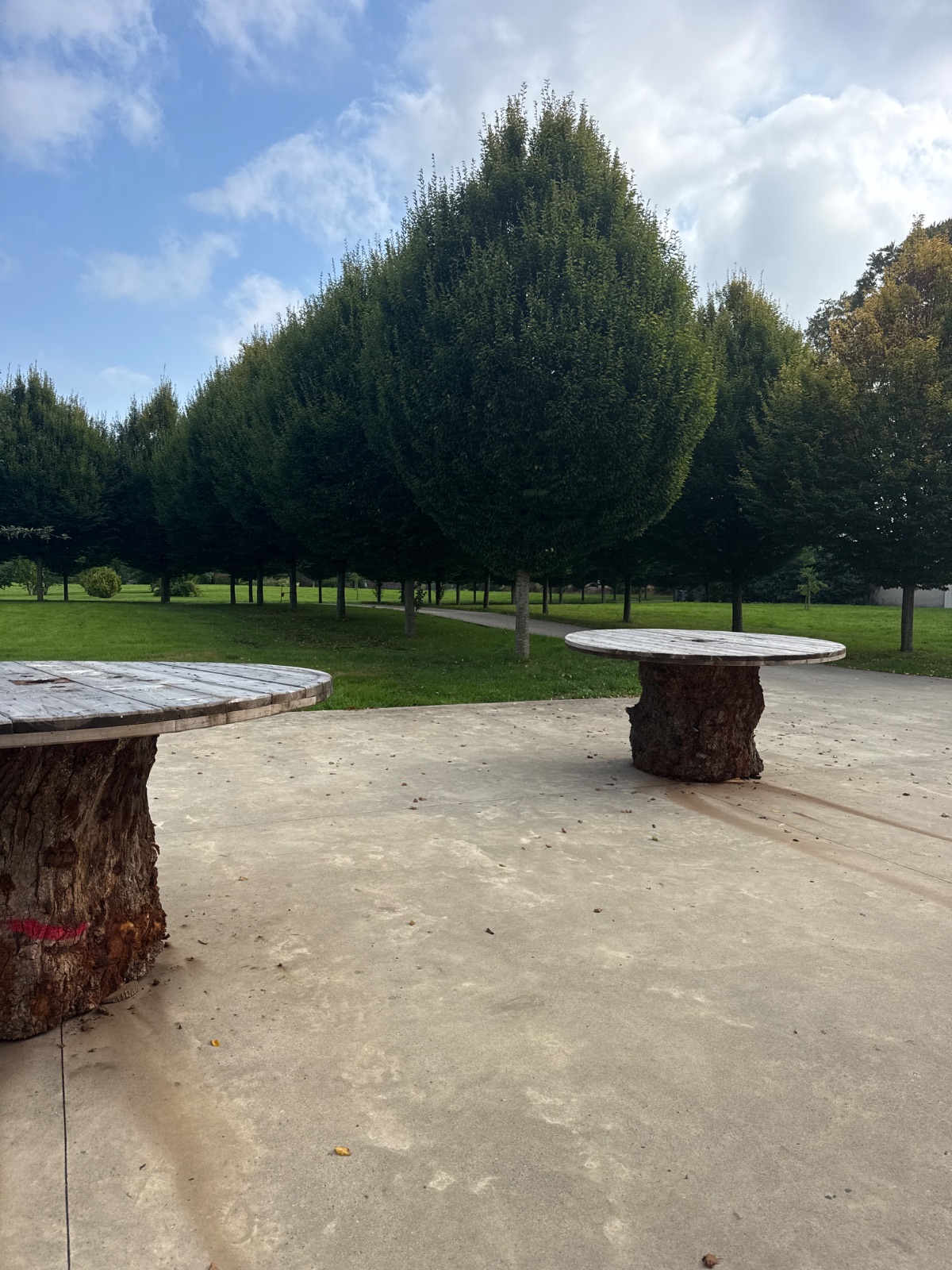 ext-rieur-jardin-d-pendances Local commercial 150 m² – Sainte-Marie-des-Champs